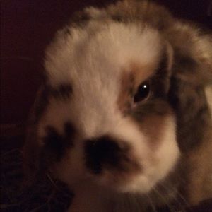 Meet your Posher, Keri